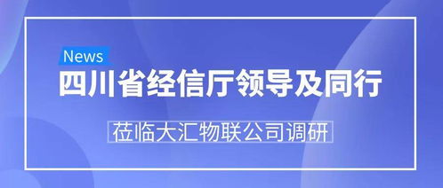 開物云平臺發布引關注，四川省經信廳領導一行蒞臨大匯物聯與萬錚物聯調研指導